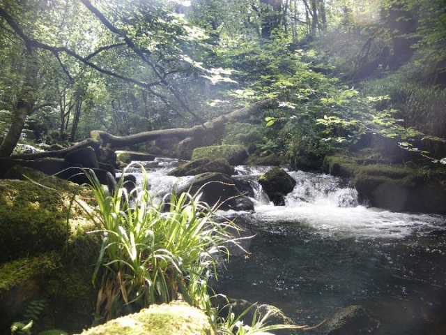  Genießen Sie den Kontakt mit der Natur 